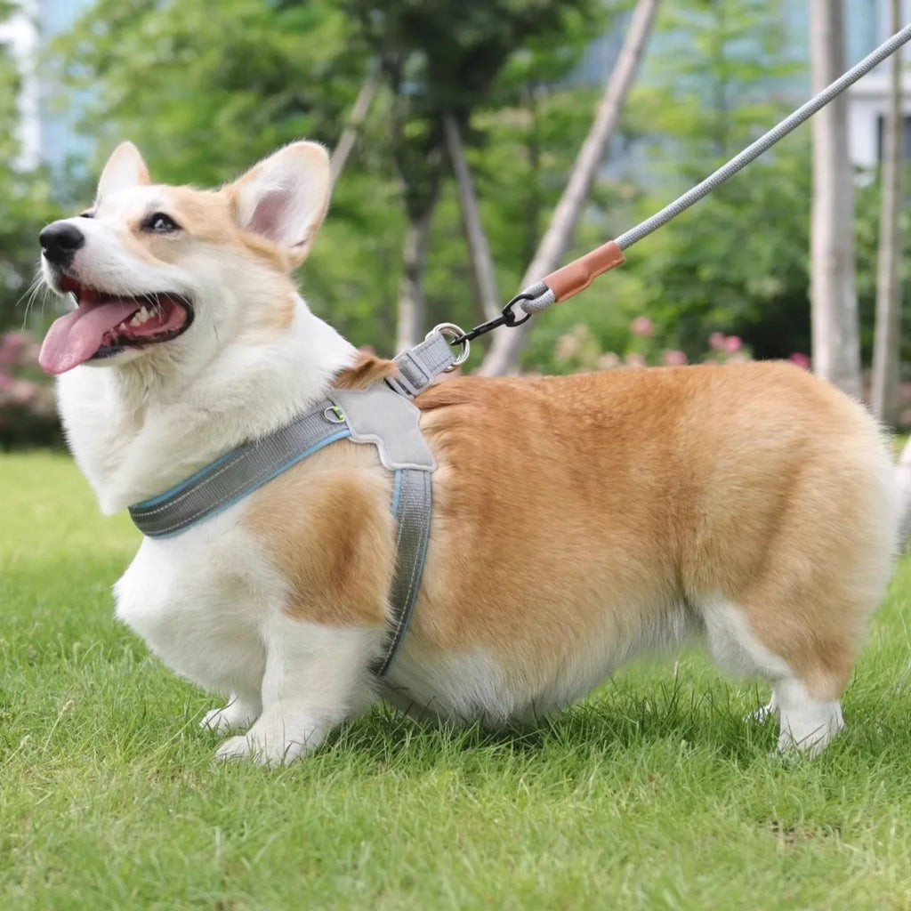 Reflective No-Pull Dog Vest Harness for Small & Medium Dogs