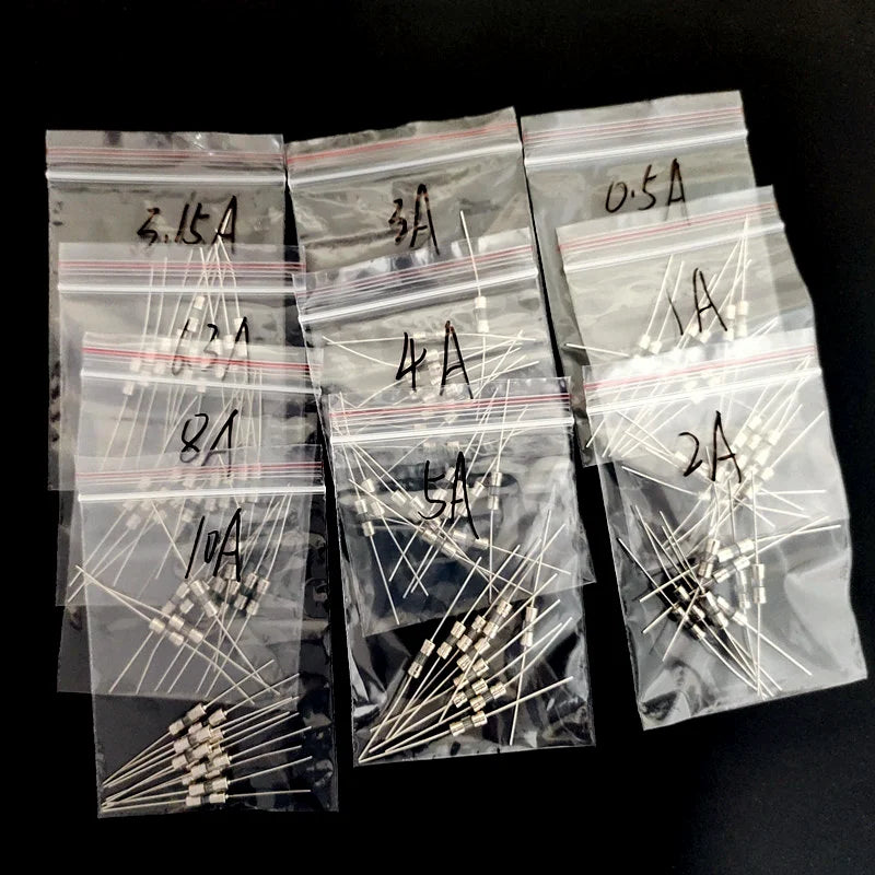 10Kind Lot 3 6 250V Double Pin Fast Blow Glass Fuse Fith Lead Wire