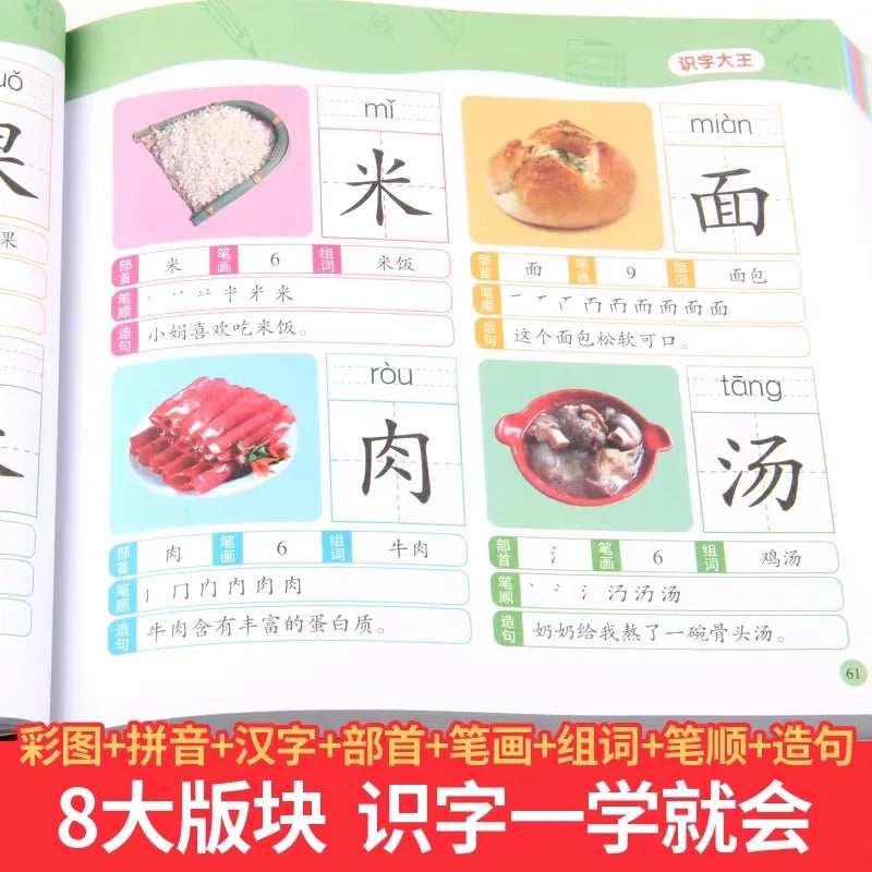 1280 Words Chinese Characters Pinyin Han Zi Picture Book Early