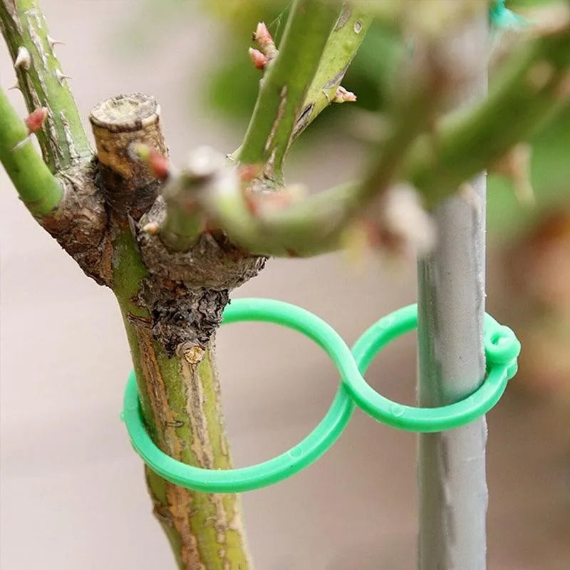 Garden Plant Support Clips for Tomato & Vine – 50/100 Pack