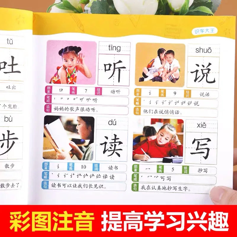1280 Words Chinese Characters Pinyin Han Zi Picture Book Early