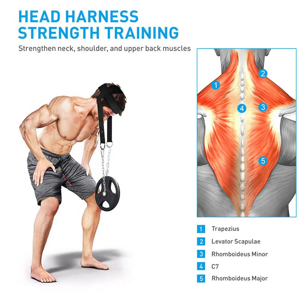 Adjustable Head Neck Training Harness – Weight Bearing Gym Strap