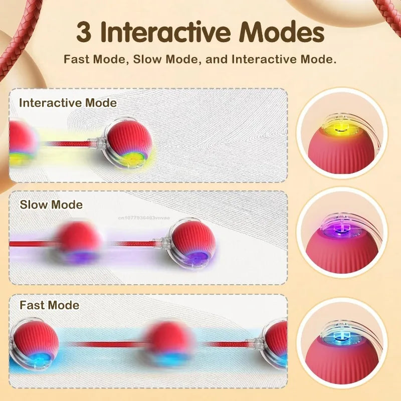 Electric Self-Moving Cat Ball Toy | Auto Rolling Interactive Play