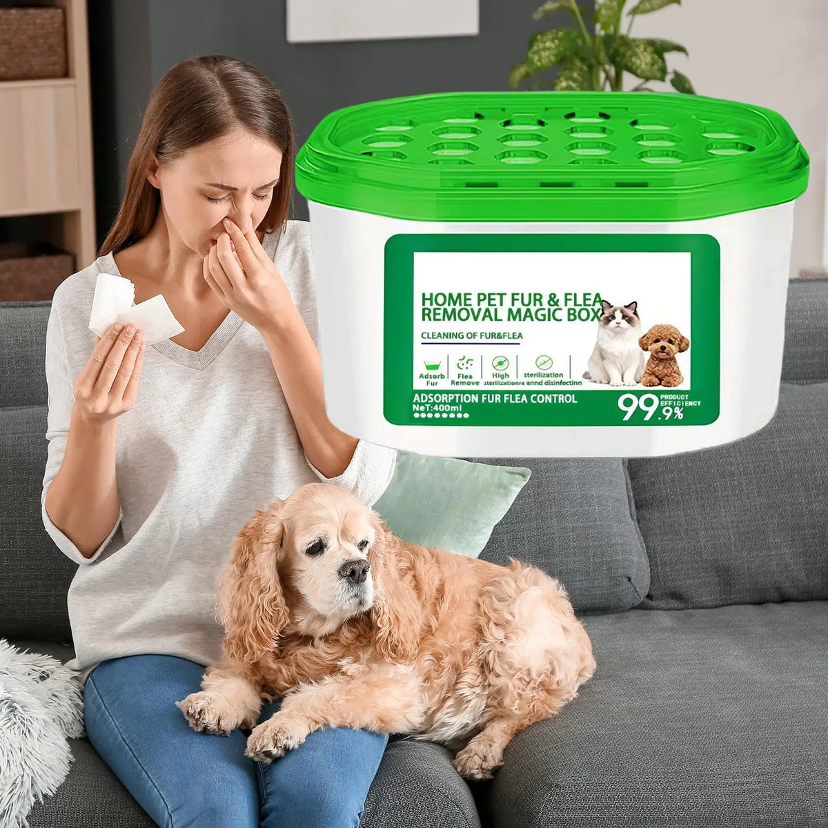 3-in-1 Pet Hair Removal Box | Air Purifier & Dehumidifier