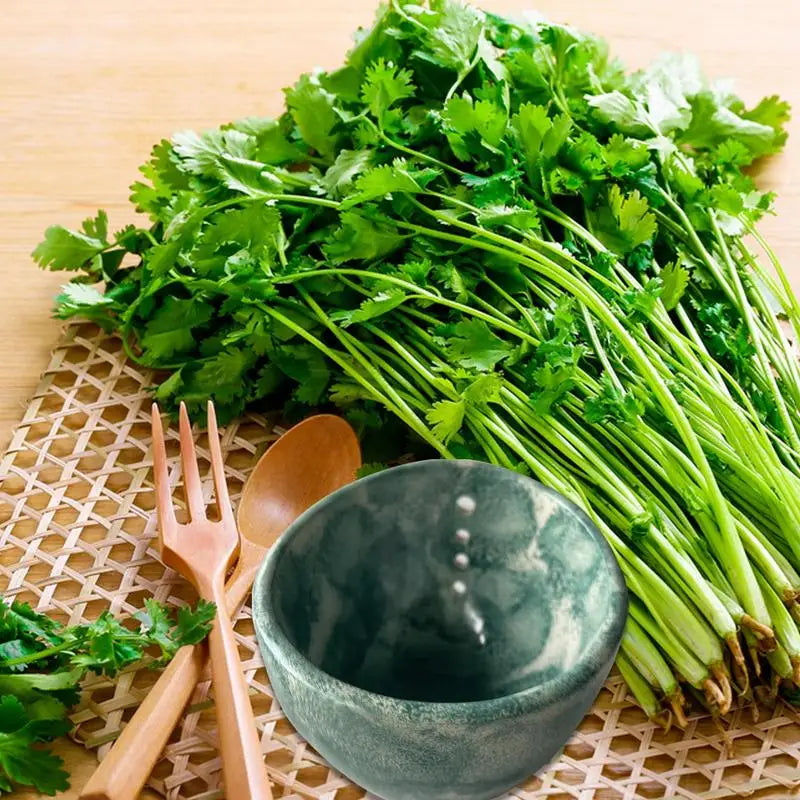 Ceramic Herb Stripper Bowl | Kale & Leafy Vegetable Leaf Remover