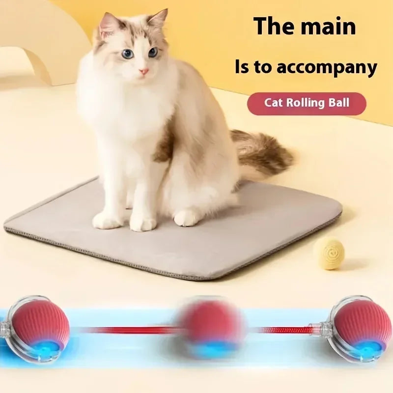 Interactive Auto Rolling Ball Toy for Cats & Dogs | USB Rechargeable