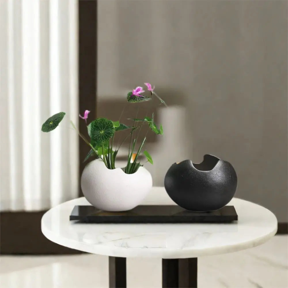 Ceramic Eggshell Succulent Planter | Bonsai Flower Pot Decor