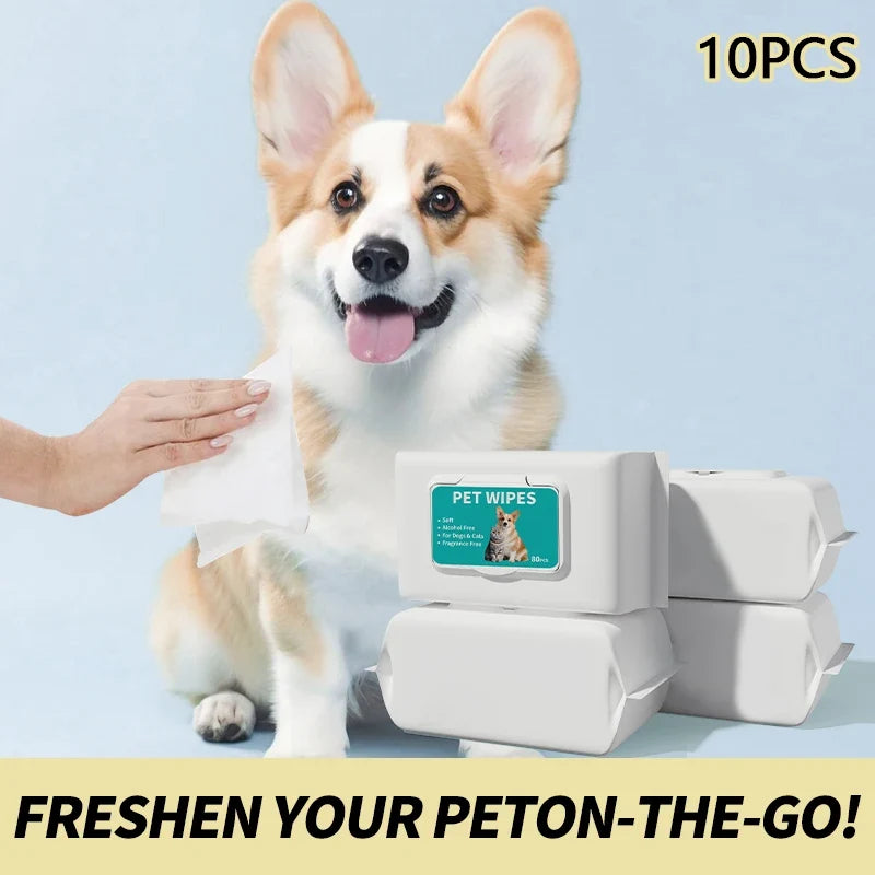 Pet Wipes Dogs & Cats | Pure Water Formula – 10 Pack