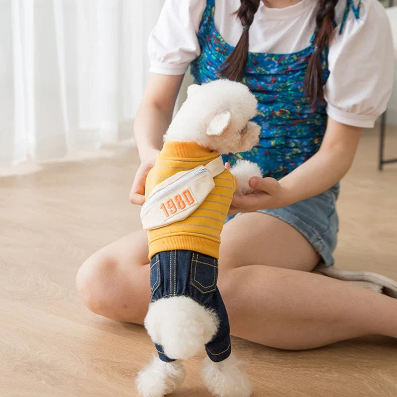 Cute Winter Dog Clothes | Denim & Sweater Outfit XS–XL