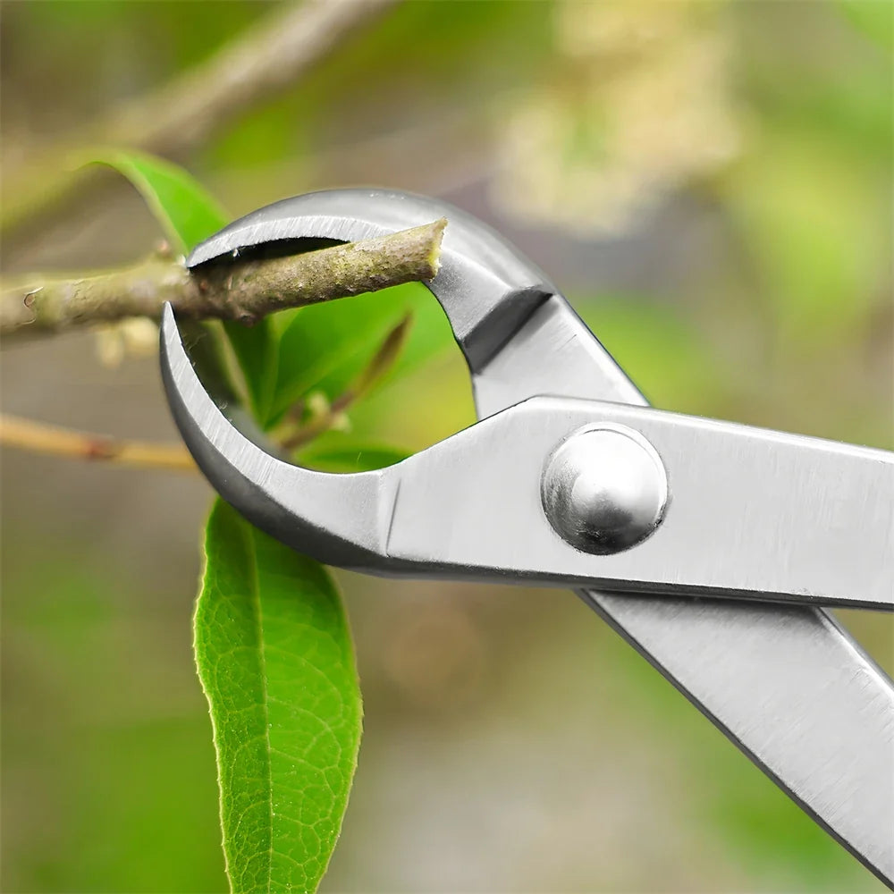 Stainless Steel Ball Shears – Bonsai & Topiary Pruning Tool