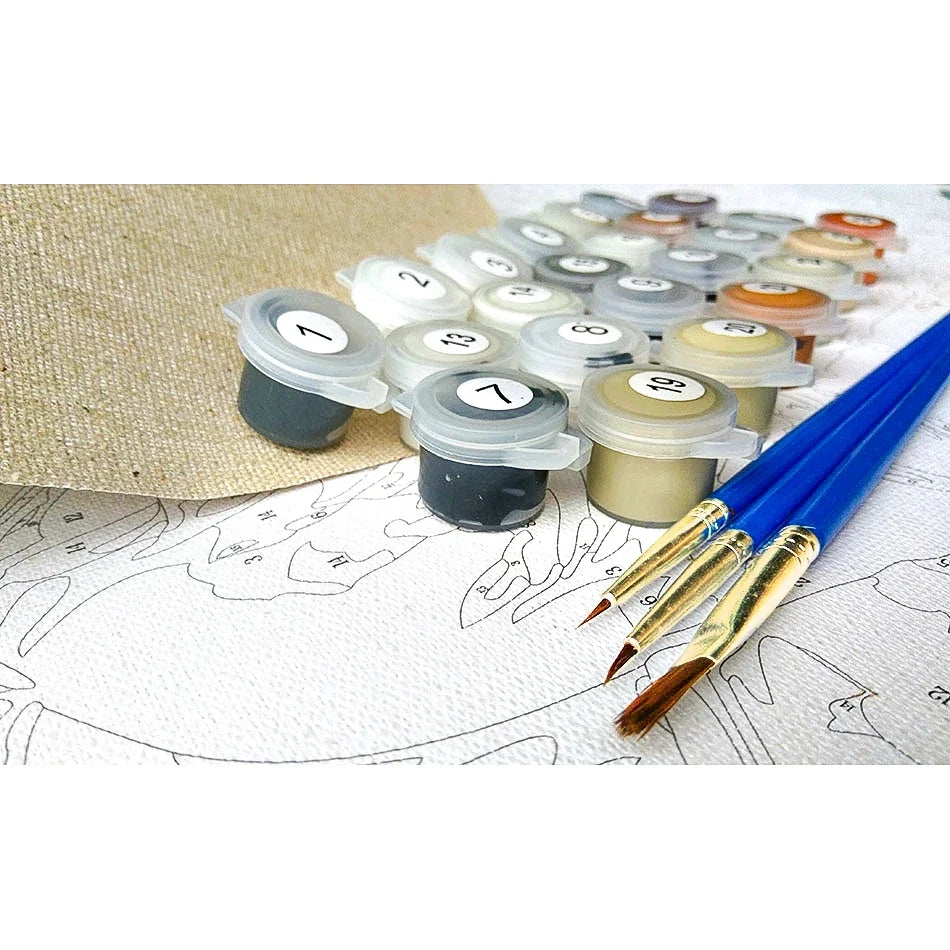 GATYZTORY 60x75cm Paint by Numbers Kit – Girls Canvas Art
