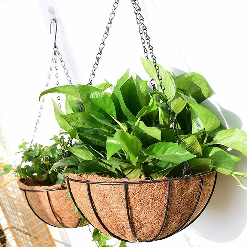 8/10 Inch Metal Hanging Basket with Coconut Liner | Garden Planter