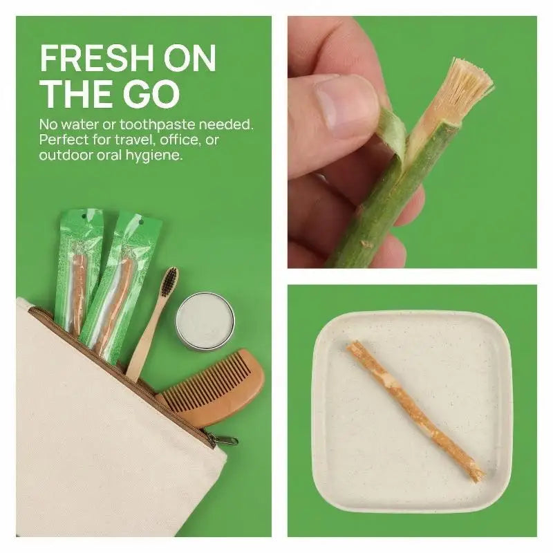 Peelu Miswak Natural Herbal Toothbrush Stick – Vacuum Sealed