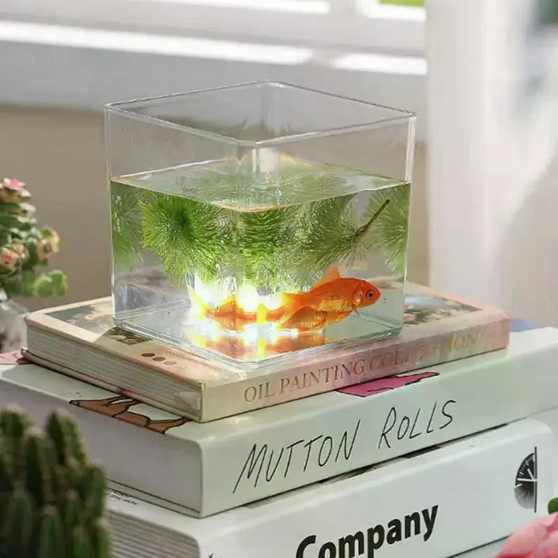 Transparent Acrylic Plant Pot | Square & Round Bonsai Planter