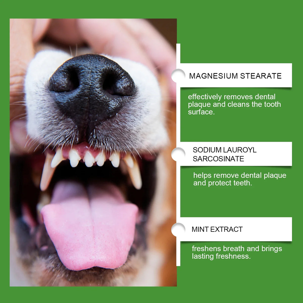 Dog Teeth Cleaning Powder 150g | Tartar & Bad Breath Relief