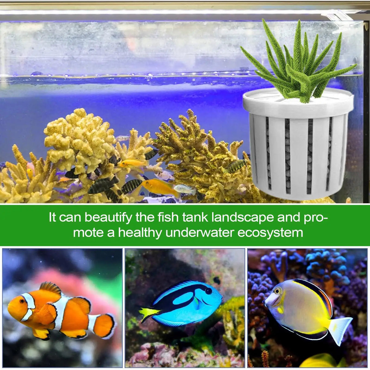 Aquarium Plant Holder Hydroponic Net Cup Basket – 4-Pack