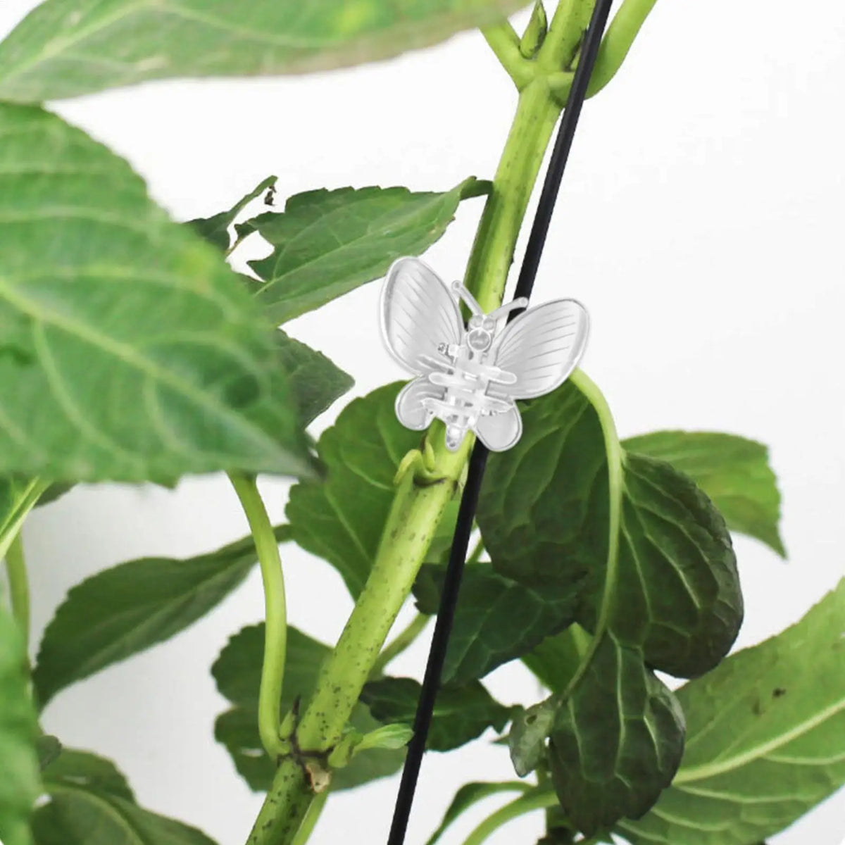 10-Pack Plant Vine Clips – Butterfly & Dragonfly Garden Support
