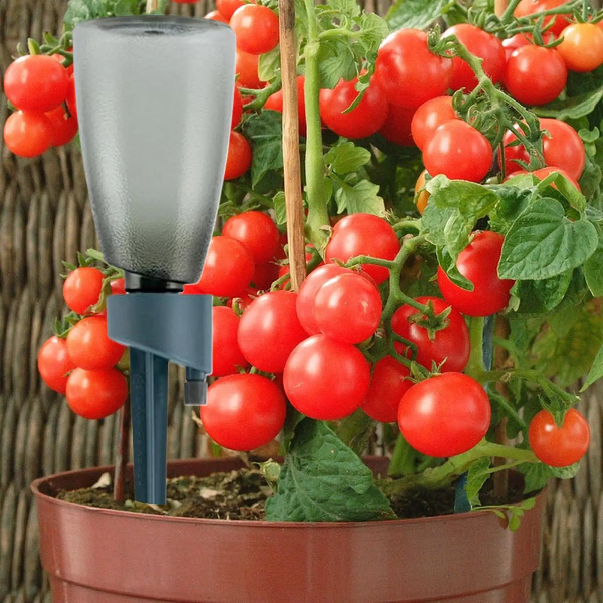 Self Watering Spikes 6 Automatic Irrigation Dripper Control Valve