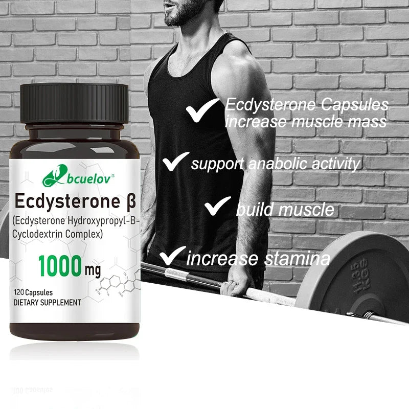 Ecdysterone Capsules – Lean Muscle & Athletic Performance Support