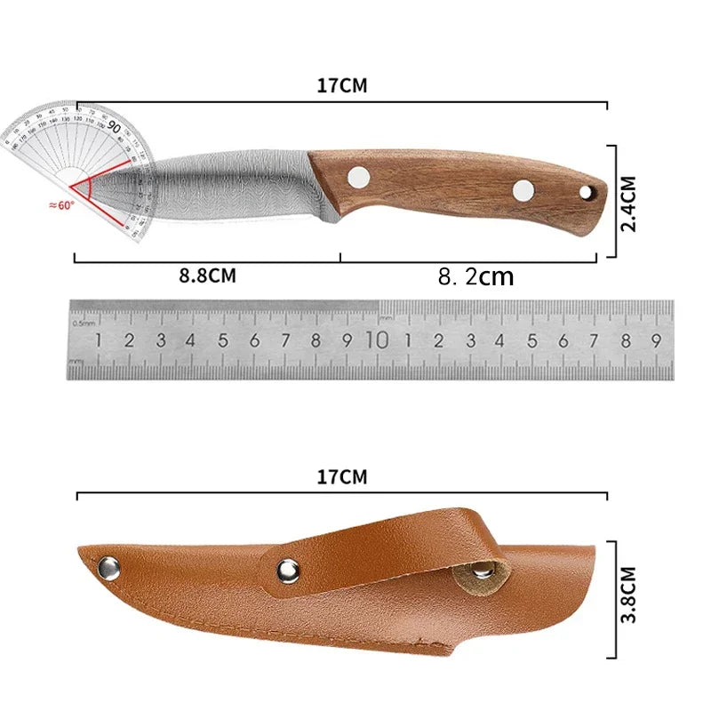 PLYS Stainless Steel Fruit Paring Knife with Holster