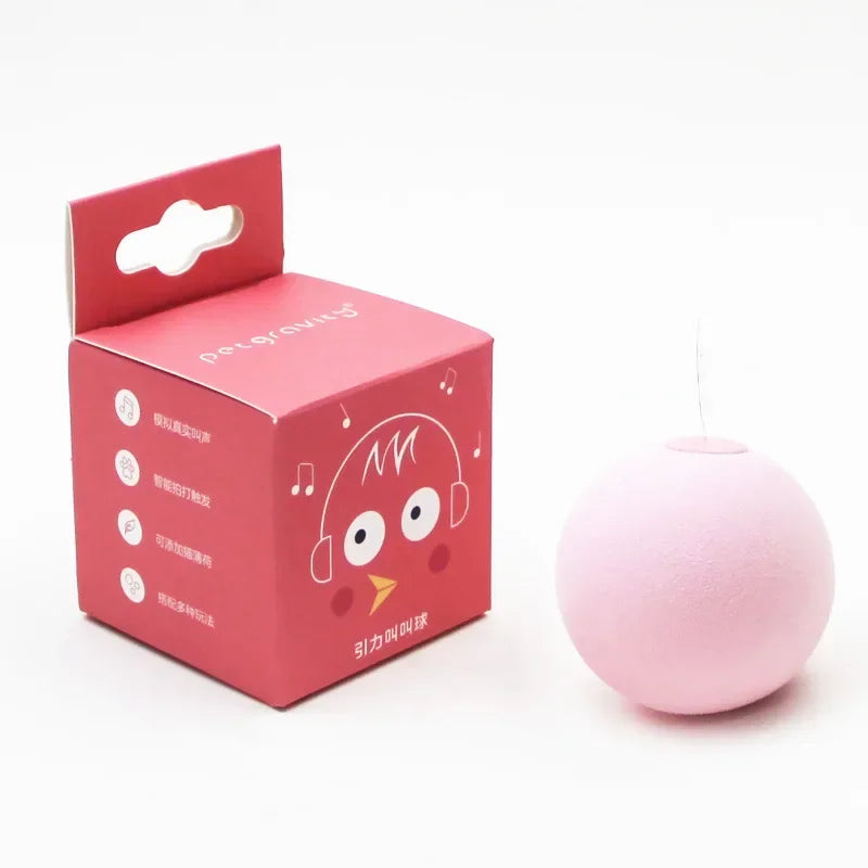 Interactive Squeaky Catnip Ball Toy for Cats & Kittens