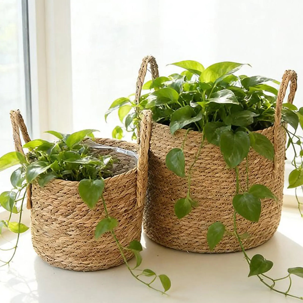 Woven Seagrass Plant Basket with Handle | Indoor & Outdoor
