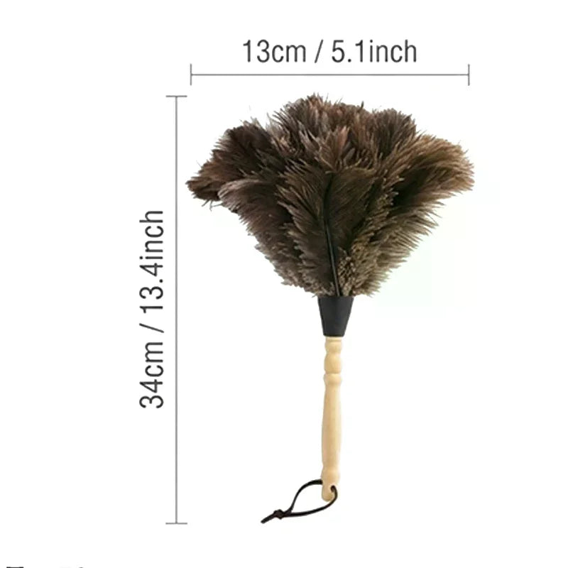 Natural Ostrich Feather Duster with Wooden Handle | Home Cleaning