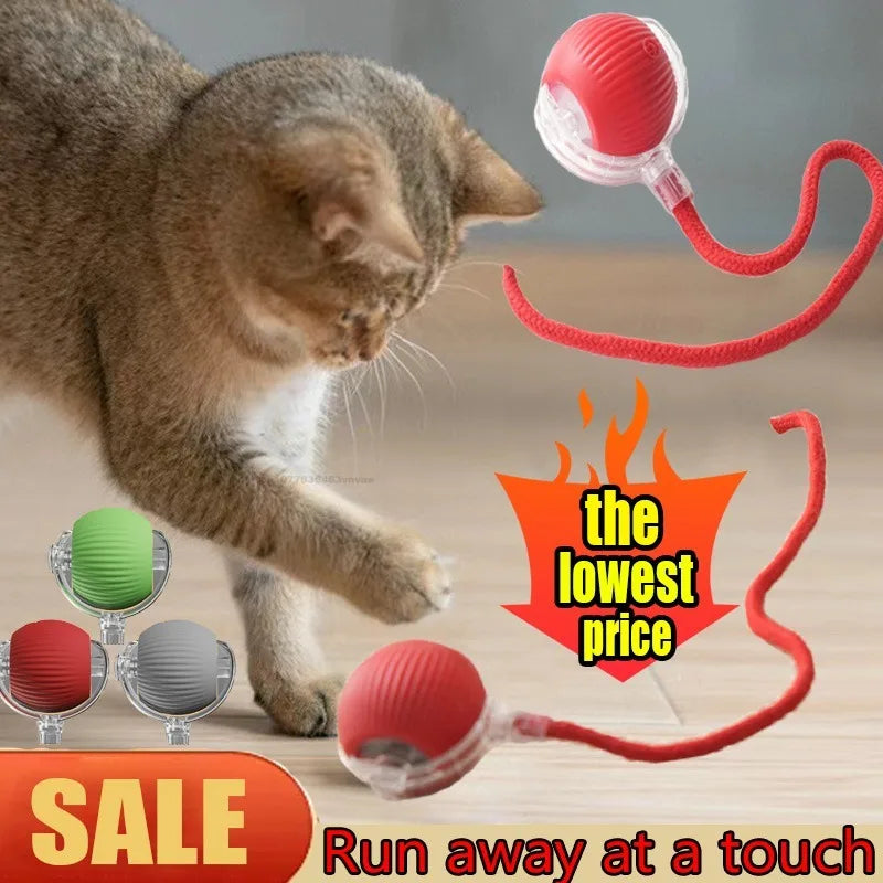 Electric Self-Moving Cat Ball Toy | Auto Rolling Interactive Play