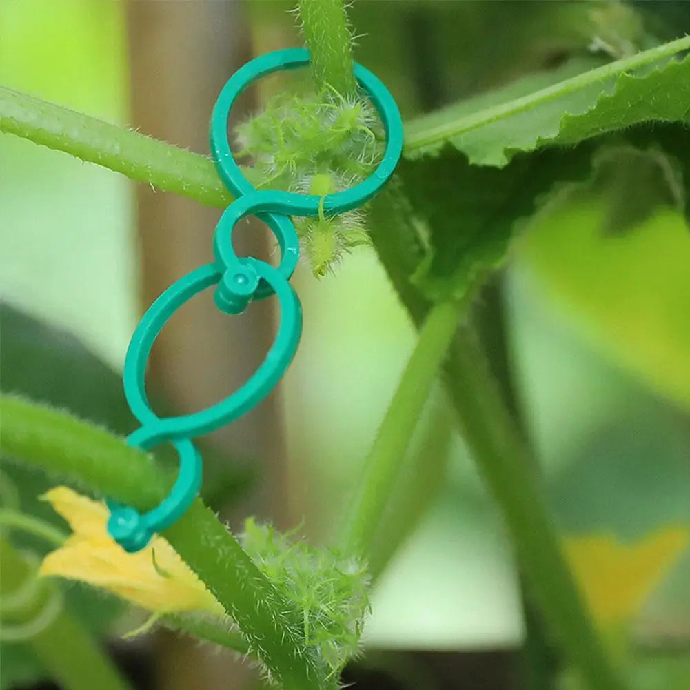 Garden Plant Support Clips for Tomato & Vine – 50/100 Pack