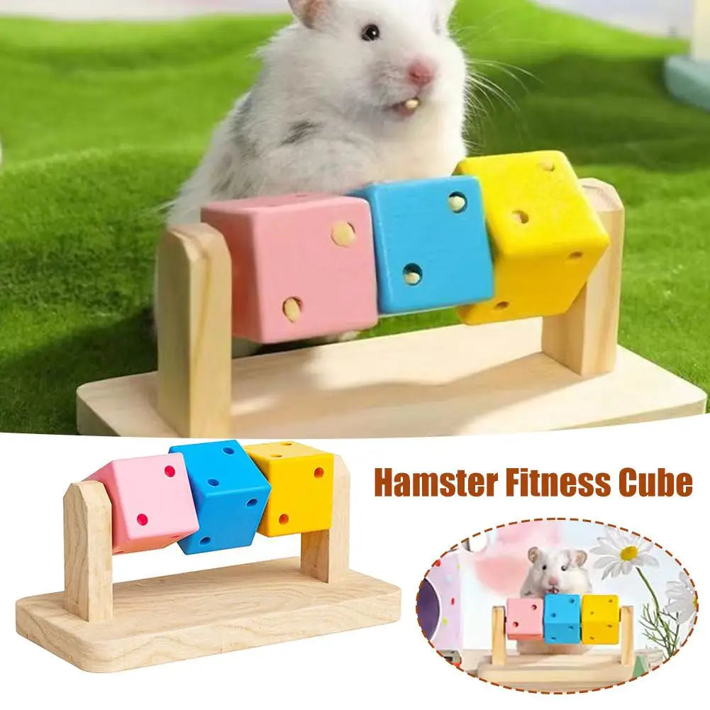 Hamster Fitness Cube – Colorful Wooden Activity Toy for Small Pets