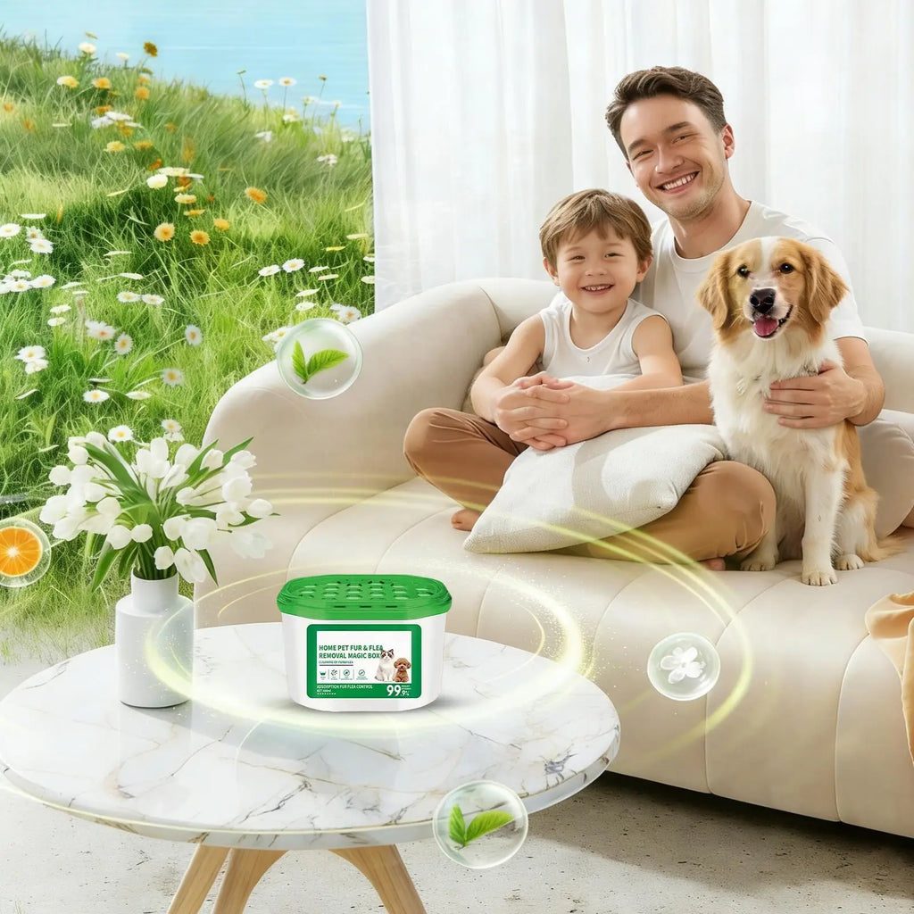 3-in-1 Pet Hair Removal Box | Air Purifier & Dehumidifier