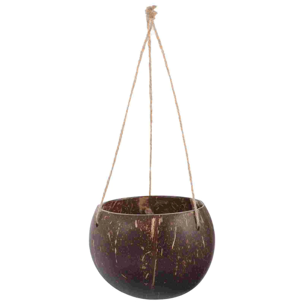Large Hanging Planter Coconut Shell Flowerpot Wall Mounted Basket