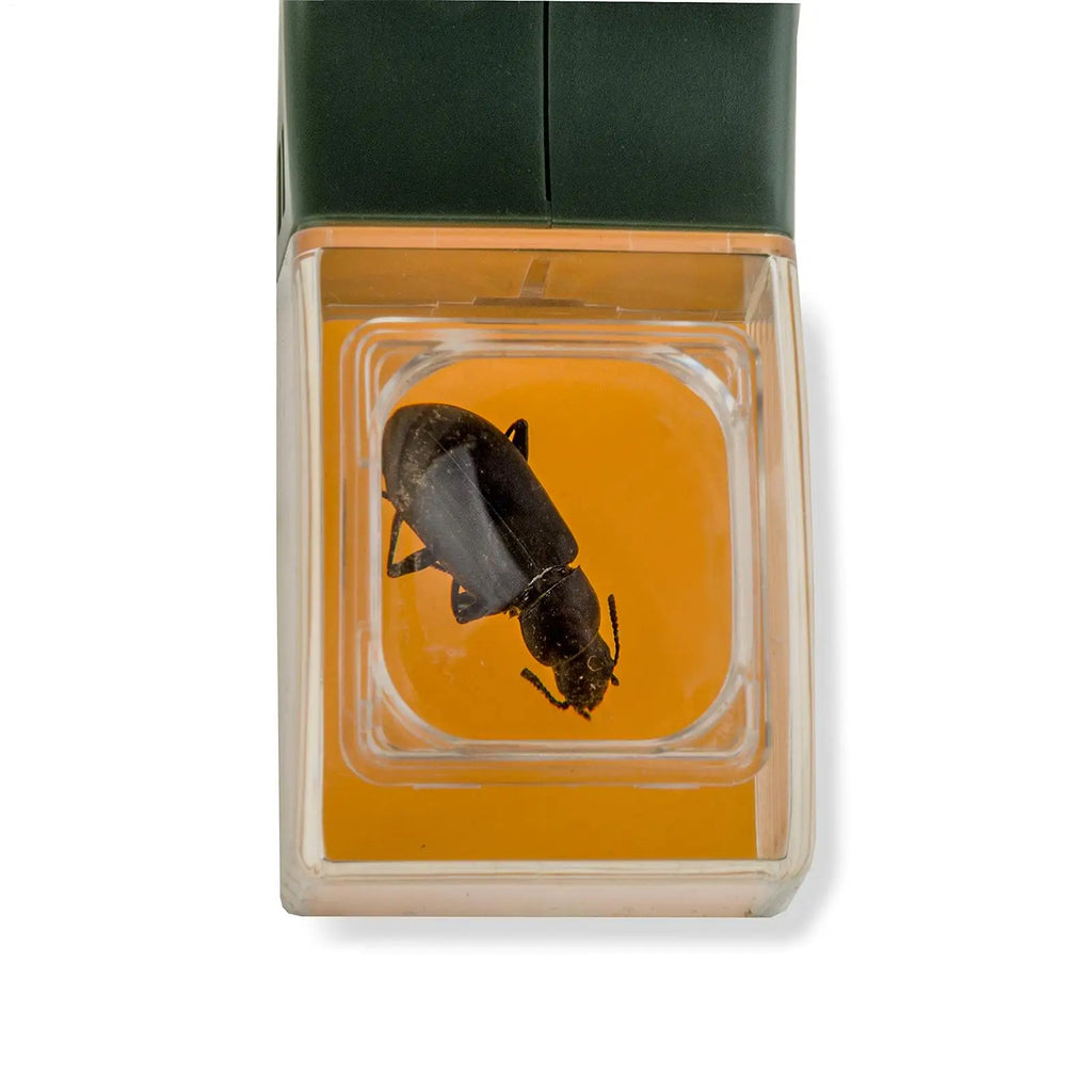 Insect Catcher Magnifying Fly Grabber Spider Bug Catching Tool Bee