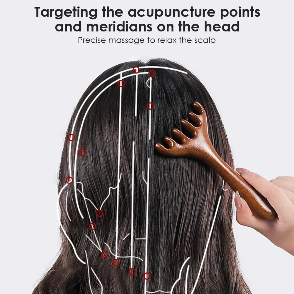 Sandalwood 6-Claw Head Massage Comb & Gua Sha Tool | Hailicare