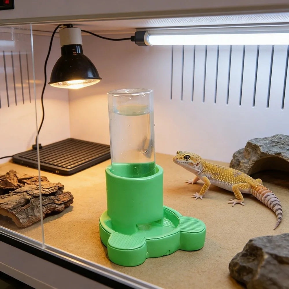 Reptile & Amphibian Water Dish | Anti-Slip Removable Base Bowl