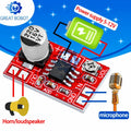 DC 5V–12V Electret Condenser Microphone Amplifier Board