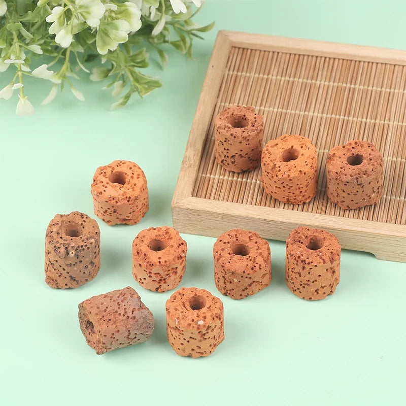 Plant Ring Aquarium Fixed Watertank Filter Weightsholder Plants