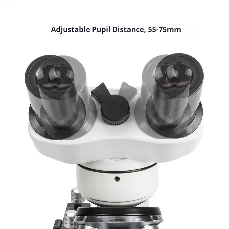 640x HD Binocular Biological Microscope for Students