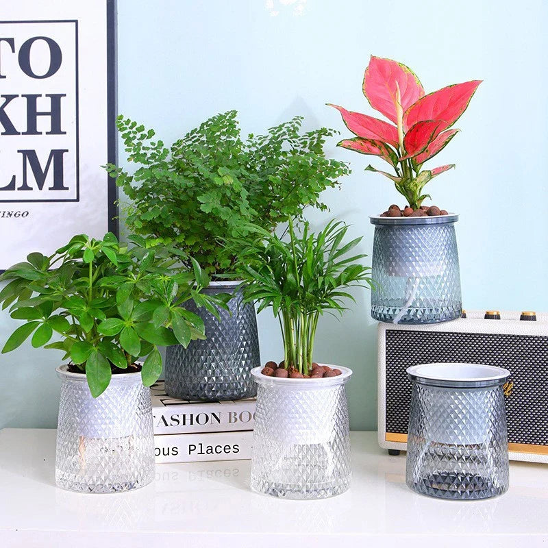 Self-Watering Transparent Planter – Hydroponic Flower Pot