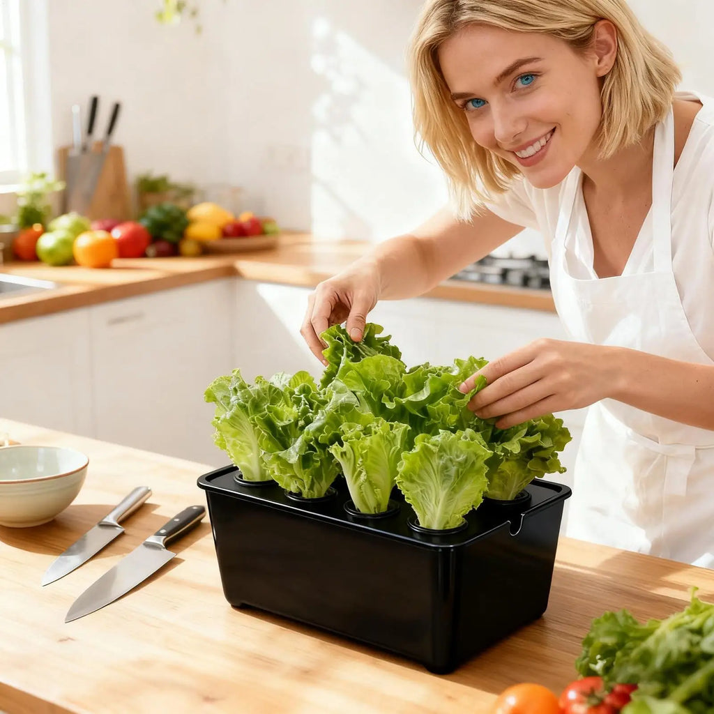 Indoor Hydroponic Planting Kit – Seedling Box for Home & Balcony