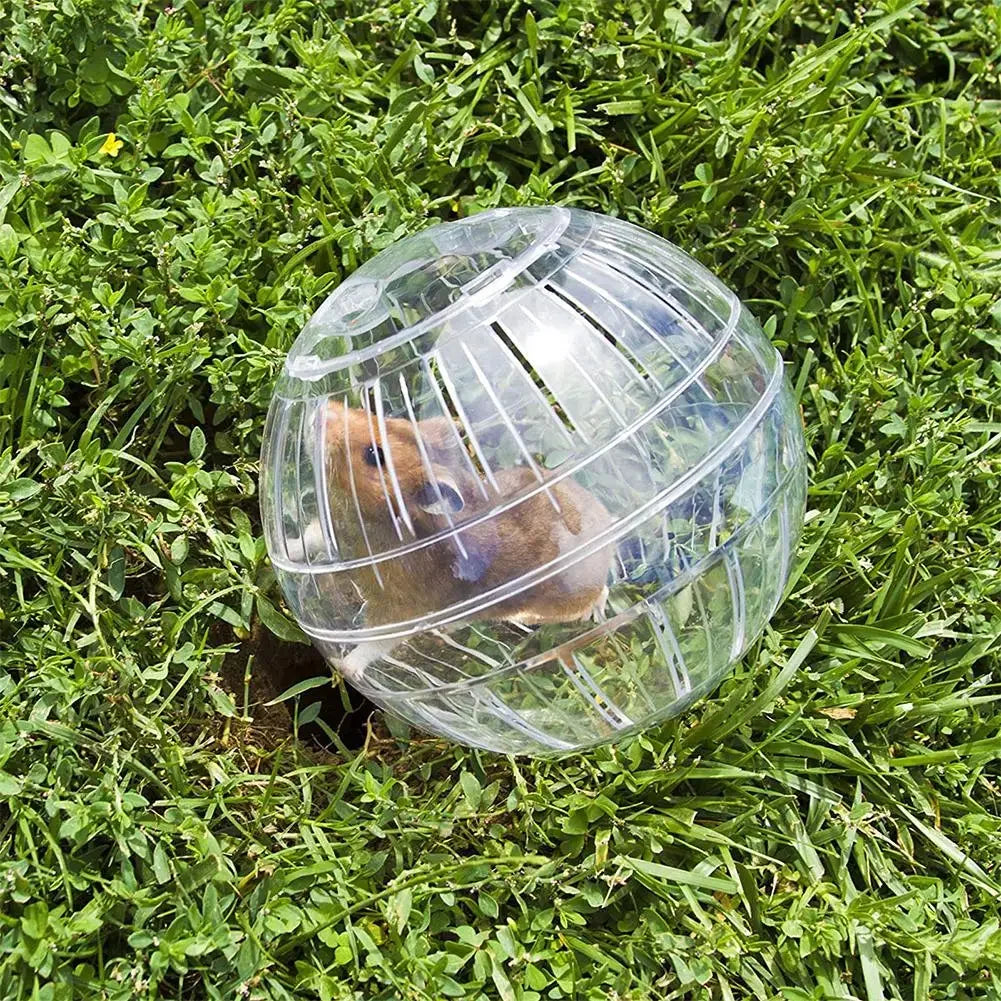 Transparent Acrylic Hamster Exercise Ball – 10cm, Escape-Proof