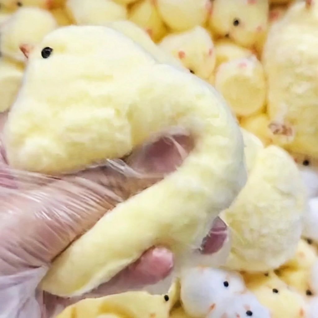 Squishy Chicken Stress Toy – Soft Taba Chick Fidget Squeeze