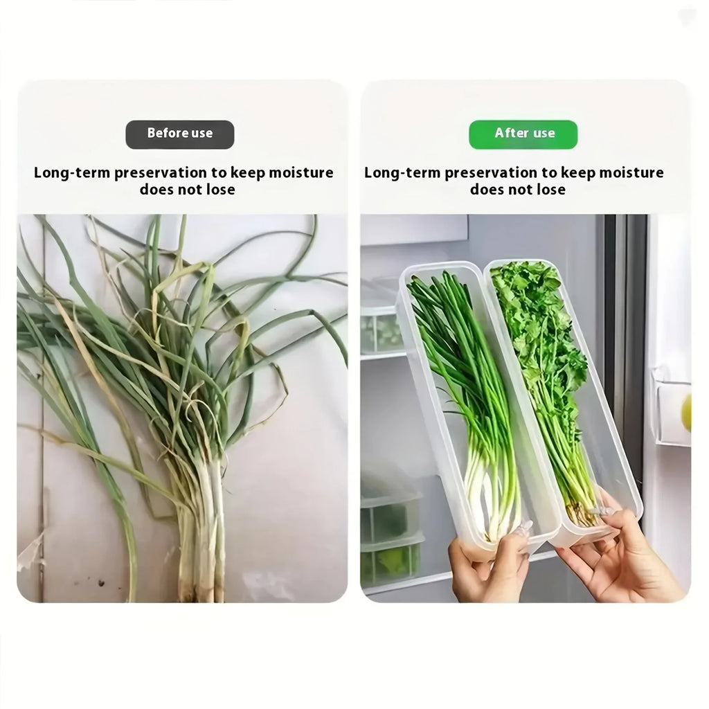 2 Long Rectangular Food Storage Containers Plastic Reusable