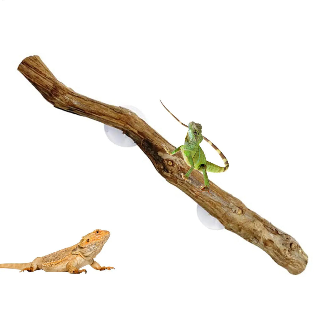 Snake Climbing Branch Unique Decor Natural Non-slip Habitat