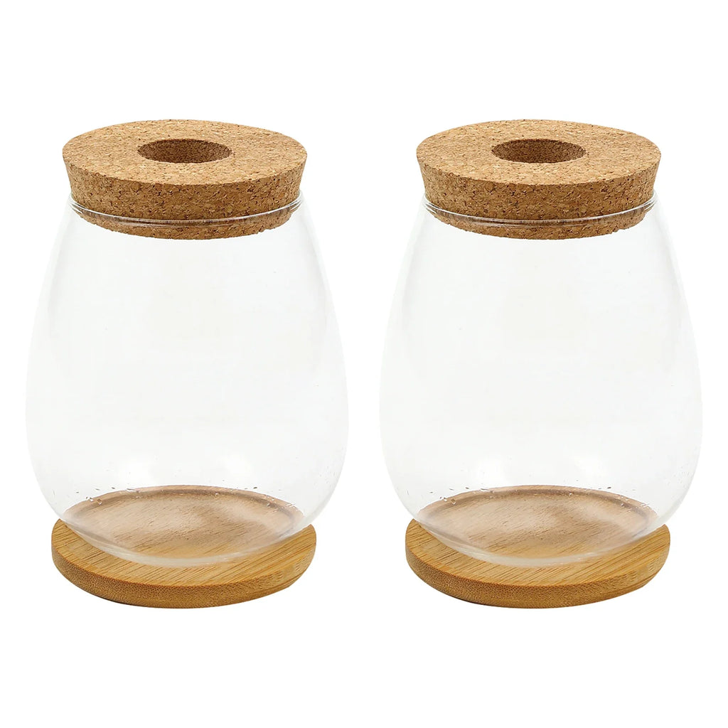 Glass Terrarium Vase & Wood Stand | Propagation Station Set of 2