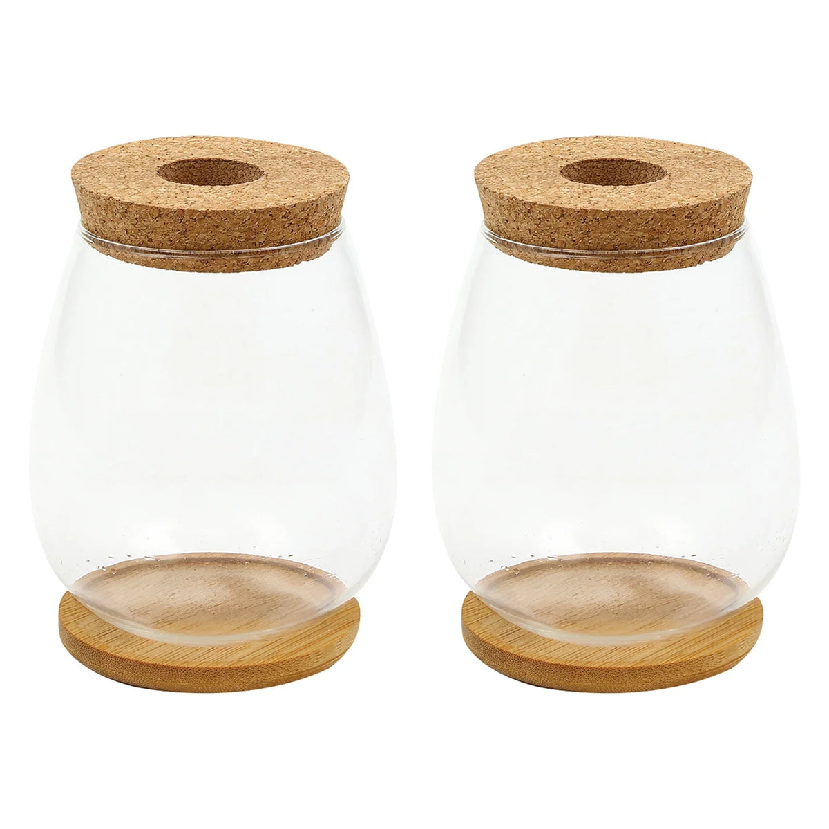 Glass Terrarium Vase & Wood Stand | Propagation Station Set of 2