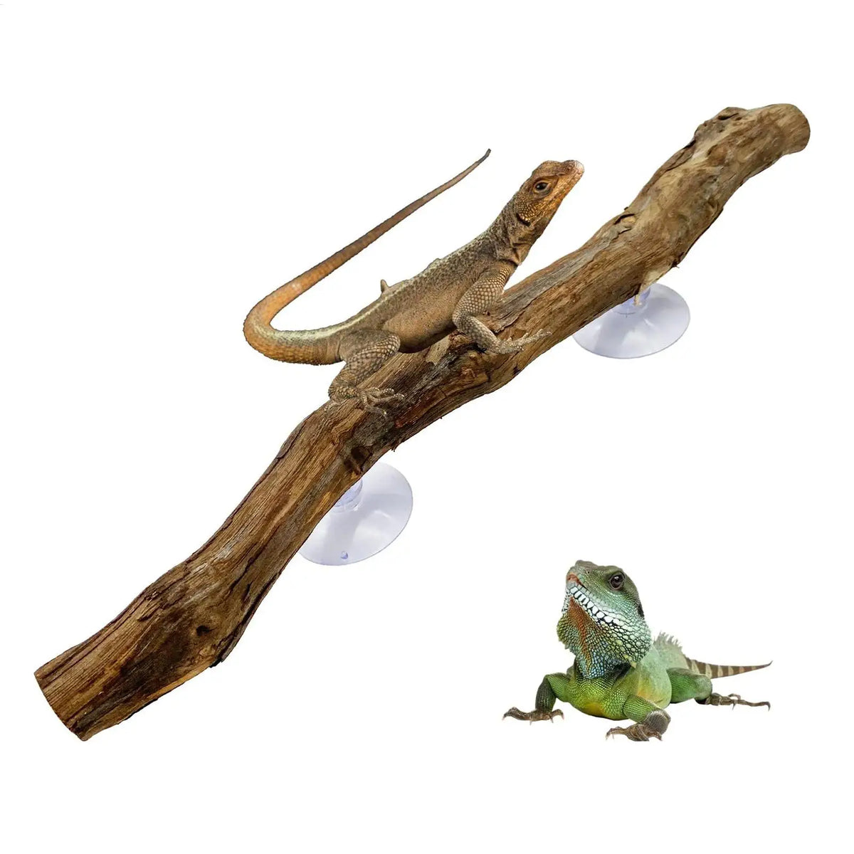 Snake Climbing Branch Unique Decor Natural Non-slip Habitat