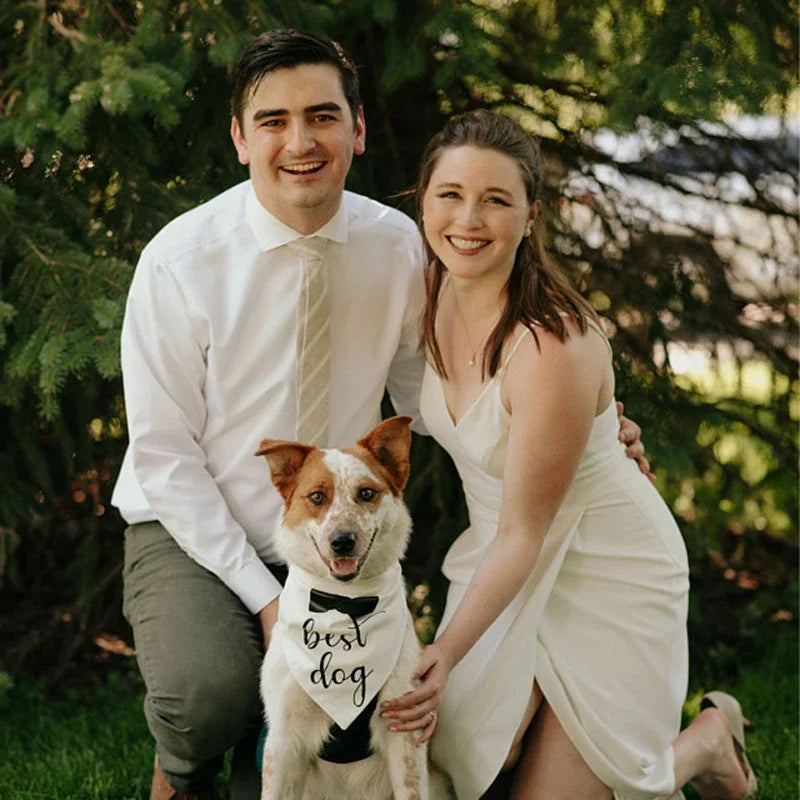 Dog of Honor Wedding Bandana Scarf | Bridal Pet Gift