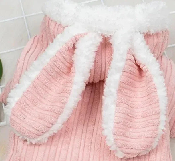 Winter Rabbit Ear Teddy Bear Dog Cat Clothes Warm Comfortable Elastic