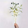 Lighted Artificial Olive Branches for Vases & Centerpieces